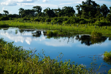 Espelho dágua, pantanal, lago, paisagem, natureza, ao ar livre, cenário, calmaria, espelhar, mata