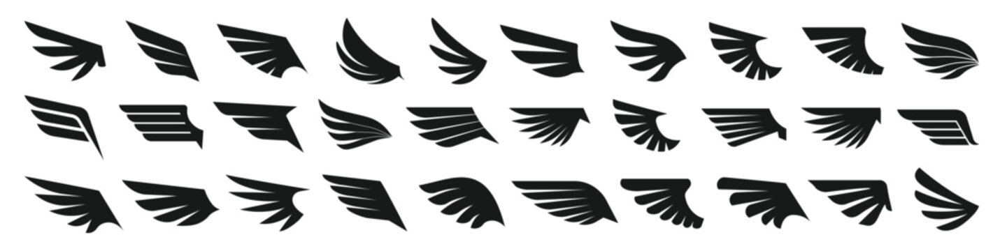 Wing vector. Wing icon set.