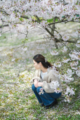 桜の花と女性