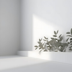 room design potted plant plants on white 3d background with shadows and lights