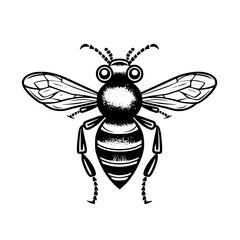 Bee vector illustration isolated on transparent background