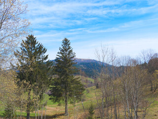 Rund um den Nonnenmattweiher von Durrsbergweg Hügel und grüne Weiden mit Blick auf Schwarzwald und den Gipfel des Belchen am Horizont
