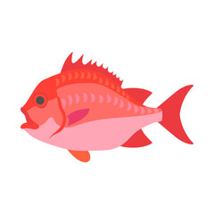 エビスダイ。フラットなベクターイラスト。
Japanese soldierfish. Flat designed vector illustration.