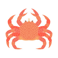 ケガニ。フラットなベクターイラスト。
Horsehair crab. Flat designed vector illustration.