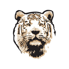 tiger, vector illustration 