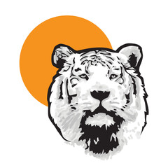 tiger, vector illustration 