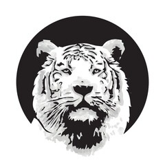 tiger, vector illustration 