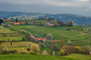 Beautiful countryside around Hrinova city with green fields, blooming cherry trees and white church on the top of th hill. Amazing spring landscape of Podpolanie region, Slovakia.  © Ivan