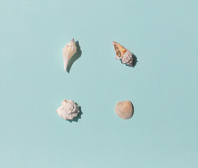 Different kinds of seashells on the blue background top view
