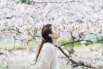 桜の花と女性