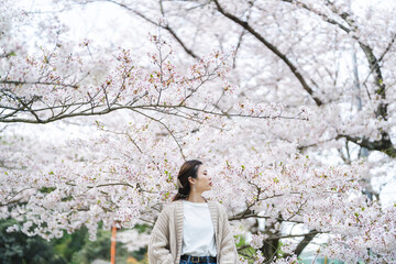 桜の花と女性