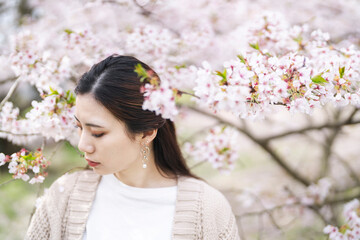 桜の花と女性