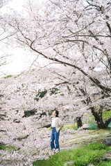 桜の花と女性