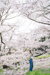 桜の花と女性