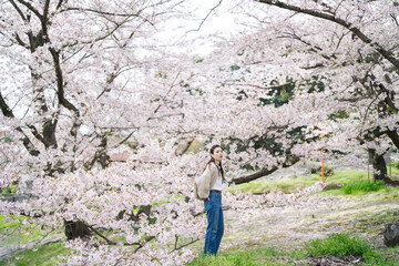 Naklejka premium 桜の花と女性