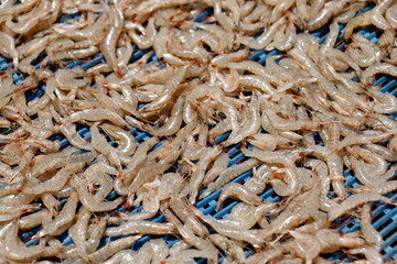 Food preservation of dried shrimp