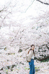 桜の花と女性