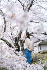 桜の花と女性