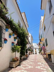 Fototapeta premium narrow street in the old town