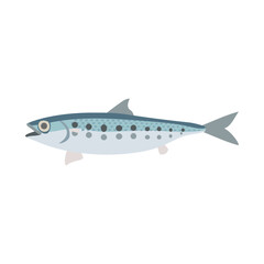 マイワシ。フラットなベクターイラスト。
Japanese sardine. Flat designed vector illustration.