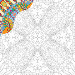 Decorative doodle pattern for coloring book. Hand drawn fantasy line art, floral geometric ornament for painting, coloring page. Tribal ethnic decoration. Black and white with sample of colors