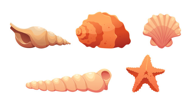Set of Seashells and Starfish Isolated on White Background. Modern Minimalist Icon. Vector Illustration in Cartoon Style. 