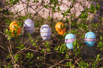 festive decoration in the form of Easter multicolored eggs on jasmine branches with blooming green...