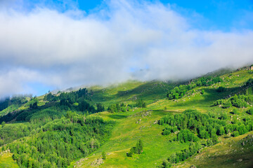 Green mountain and forest with sky cloud natural scenery