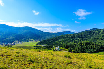 Green forest and mountain natural landscape in summer