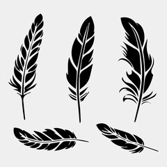 Obraz premium set of feathers vector design isolated on white