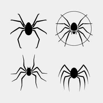 set of Vector illustration of spider silhouette on white background
