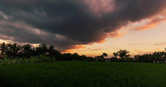 Night time lapse recorded near Ubud, Bali, Indonesia, at rice fields with fast moving clouds and bright stars after sunset