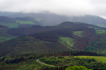Obraz premium Green hills covered with forest low clouds, Basque Country, Spain