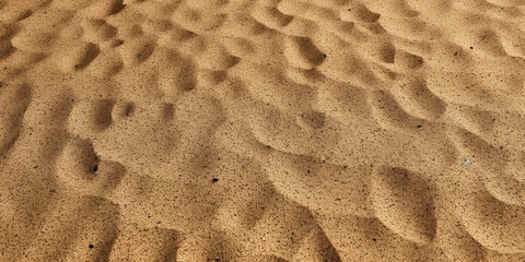 Sandy beach background top view