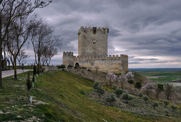  Castillo de Tiedra. y su torre del homenaje de planta rectangular y 20 metros de altura. 