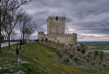 Fototapeta premium Castillo de Tiedra. y su torre del homenaje de planta rectangular y 20 metros de altura. 