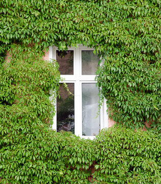Fenster110423a