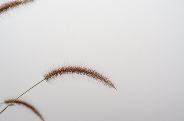 beautiful concept from nature.