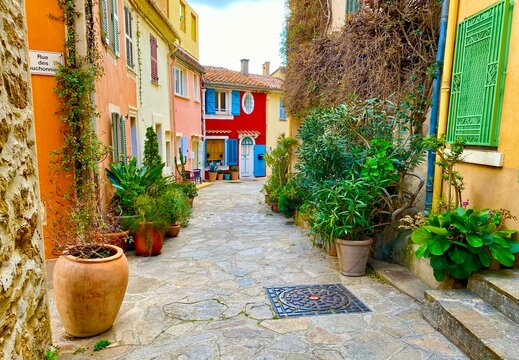 Fototapeta street with flowers in the town of bormes les mimosas