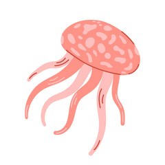 Pink medusa isolated on white background. Marine jellyfish with tentacles, aquatic underwater creature. Modern hand drawn flat illustration.