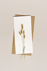 Minimal autumn composition, white paper card with dried wild grass, nature autumnal decor, still life neutral colors, minimal style flat lay of natural ears of grass. Autumn, fall concept.