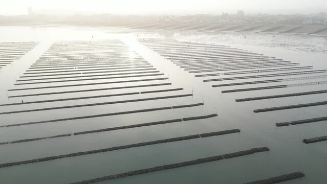 Track Back Aerial Over Oyster Farm Whitstable, England