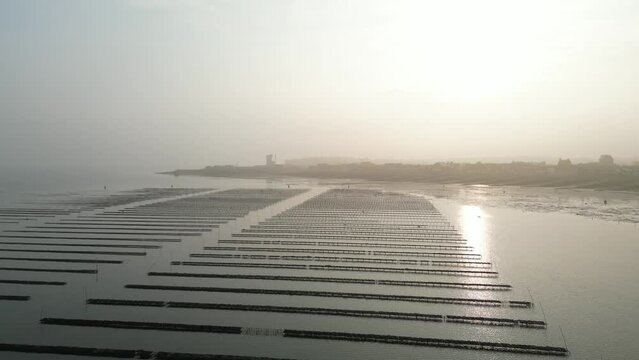 High Aerial Whitstable Town and Oyster farm Sunset
