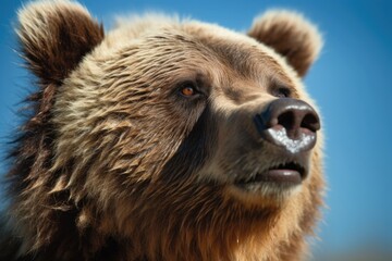 Obraz premium Bear Against Sky Blue Background. Generative AI
