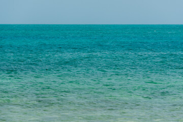 blue water background and white wooden trunk