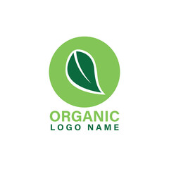 eco friendly logo. green leaf logo vector