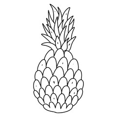 Pineapple in hand drawn doodle style. Vector illustration isolated on white background, Coloring book.