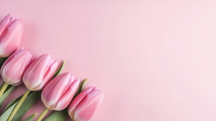 Motherday Background with tulipe rose 