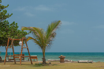 beach with palm trees