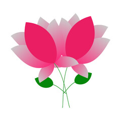 pink lotus flower icon over white background. colorful design.  illustration